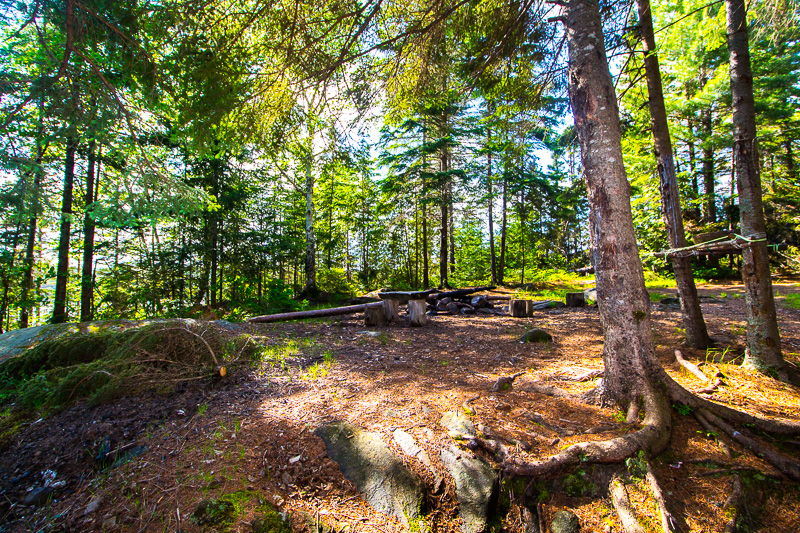 Algonquin Park - Parkside Bay Small Island